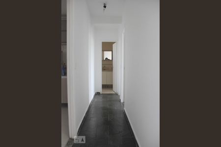 Corredor de apartamento para alugar com 2 quartos, 65m² em Vila Santa Catarina, São Paulo