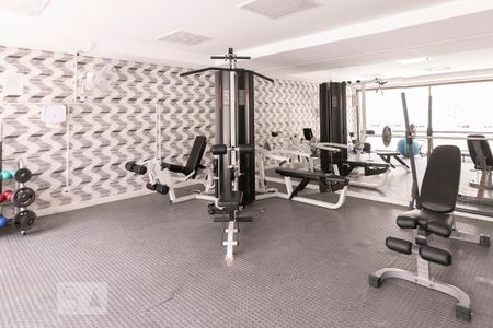 Apartamento para alugar com 65m², 2 quartos e 1 vaga Apartamento para alugar com 65m², 2 quartos e 1 vagaÁrea comum - Academia