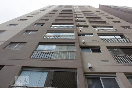 Fachada de apartamento para alugar com 2 quartos, 68m² em Cambuci, São Paulo