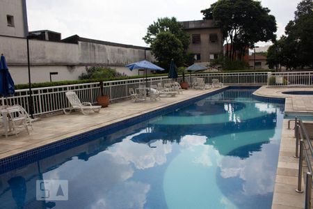 Área comum - Piscina de apartamento para alugar com 2 quartos, 68m² em Cambuci, São Paulo
