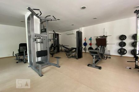 Apartamento à venda com 385m², 4 quartos e 6 vagasÁrea comum - Academia