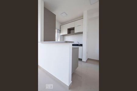 Apartamento para alugar com 60m², 2 quartos e 2 vagasCozinha