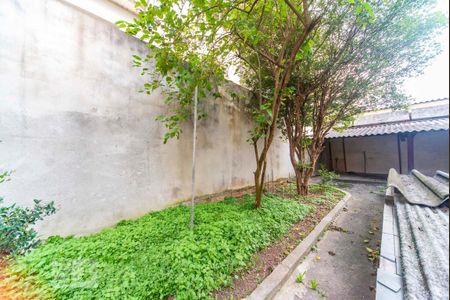 Quintal Fundos de casa para alugar com 4 quartos, 229m² em Vila Tibiriçá, Santo André