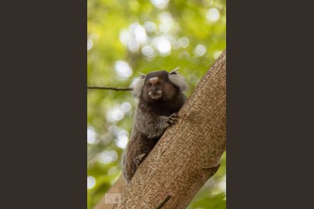 Apartamento à venda com 56m², 2 quartos e 1 vagaÁrea comum