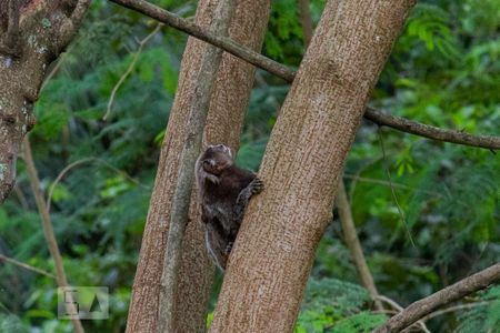 Apartamento à venda com 56m², 2 quartos e 1 vagaÁrea comum