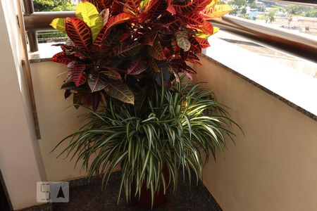 Apartamento à venda com 140m², 2 quartos e 3 vagasSuíte 1