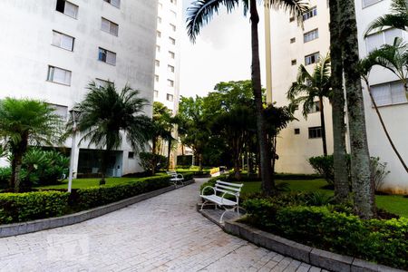 Apartamento para alugar com 65m², 3 quartos e 1 vagaÁrea comum 
