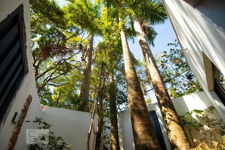 Apartamento para alugar com 50m², 1 quarto e sem vagaJardim