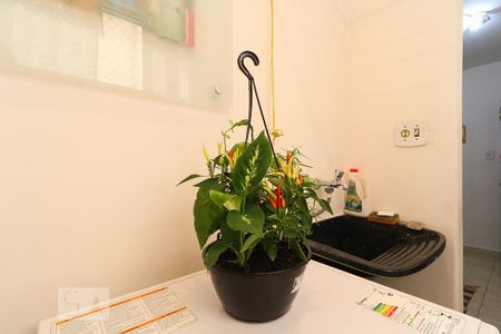 Apartamento para alugar com 52m², 2 quartos e 1 vaga Apartamento para alugar com 52m², 2 quartos e 1 vagaÁrea de Serviço