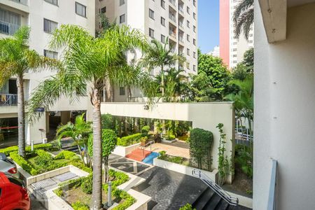 Vista de apartamento para alugar com 3 quartos, 65m² em Vila Ivone, São Paulo