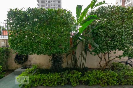 Vista de kitnet/studio para alugar com 1 quarto, 35m² em Vila Nova Conceição, São Paulo