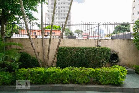 Vista de kitnet/studio para alugar com 1 quarto, 35m² em Vila Nova Conceição, São Paulo
