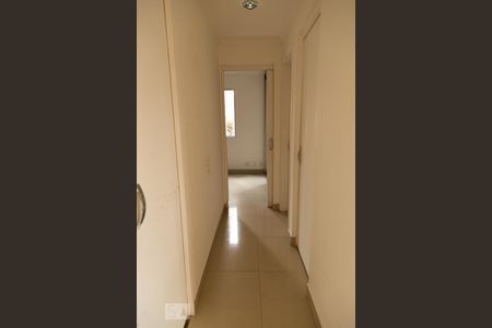 Corredor de apartamento para alugar com 3 quartos, 66m² em Cambuci, São Paulo