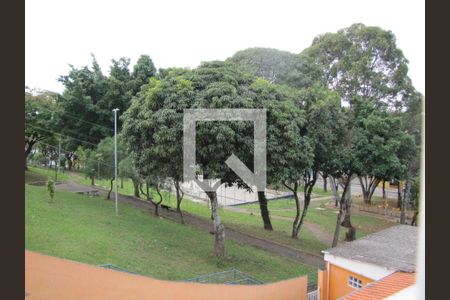 Vista da Cozinha de casa para alugar com 2 quartos, 60m² em Parque Boturussu, São Paulo