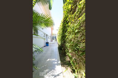 Casa à venda com 564m², 4 quartos e 4 vagas Casa à venda com 564m², 4 quartos e 4 vagasQuintal