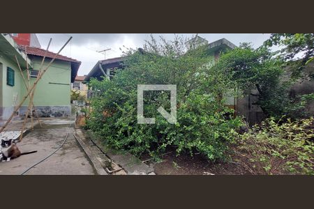 Casa à venda com 45m², 1 quarto e sem vagaQuintal - área verde