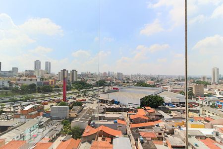 Vista da Varanda de apartamento à venda com 2 quartos, 52m² em Chácara Califórnia, São Paulo
