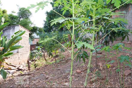 Casa à venda com 220m², 3 quartos e sem vagaTerreno