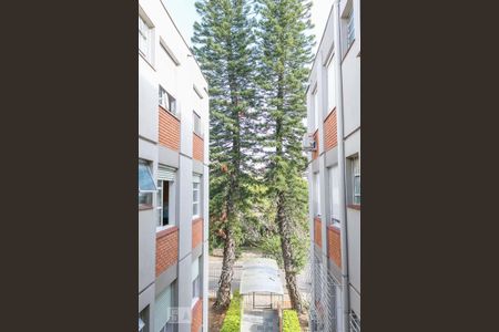 Área Externa de apartamento para alugar com 3 quartos, 87m² em Cristal, Porto Alegre
