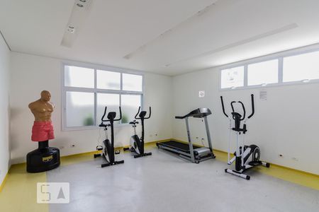 Apartamento para alugar com 65m², 2 quartos e 2 vagas Apartamento para alugar com 65m², 2 quartos e 2 vagasÁrea comum - Academia