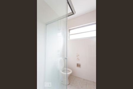 Banheiro de apartamento para alugar com 2 quartos, 60m² em Jardim Adhemar de Barros, São Paulo