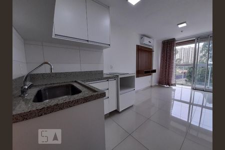 Apartamento para alugar com 33m², 1 quarto e 1 vagaCozinha