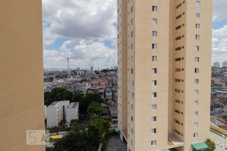 Vista de apartamento à venda com 2 quartos, 67m² em Parque São Luís, São Paulo