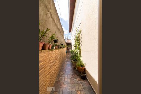 Casa para alugar com 250m², 3 quartos e 2 vagasCorredor lateral externo