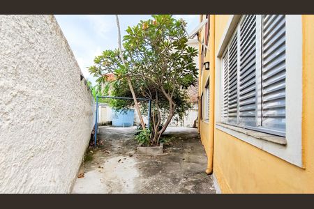 Apartamento para alugar com 50m², 2 quartos e sem vagaQuintal