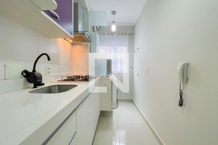 Cozinha e Área de Serviço de apartamento para alugar com 2 quartos, 50m² em Jardim Roberto, Osasco