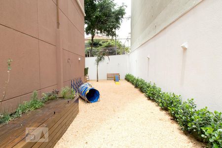Studio para alugar com 27m², 1 quarto e sem vaga Studio para alugar com 27m², 1 quarto e sem vagaPet play