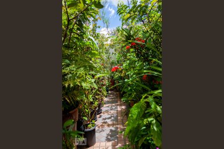 Casa à venda com 300m², 3 quartos e 1 vagaLaje