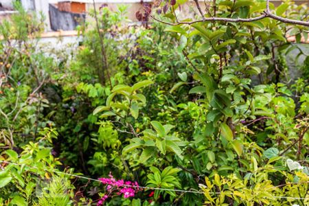 Casa à venda com 300m², 3 quartos e 1 vagaLaje