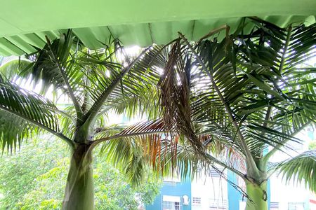 Apartamento para alugar com 46m², 2 quartos e 1 vagaVista Quarto 2