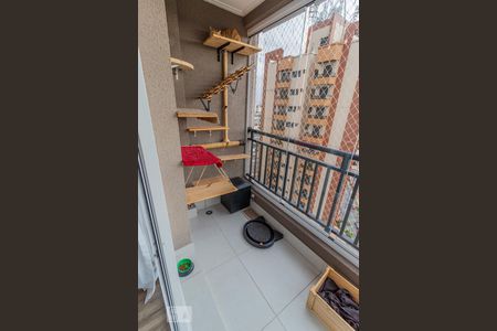 Varanda Suíte de apartamento para alugar com 3 quartos, 97m² em Parque Bandeirante, Santo André