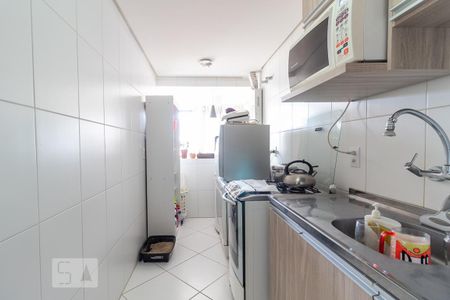 Cozinha e Área de Serviço de apartamento para alugar com 3 quartos, 80m² em Vila Ipiranga, Porto Alegre
