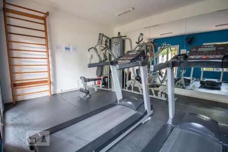 Academia de apartamento para alugar com 3 quartos, 63m² em Vila Moreira, São Paulo