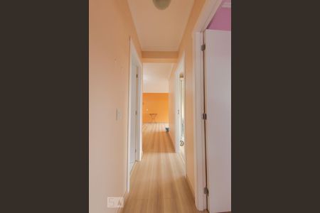 Corredor de apartamento à venda com 3 quartos, 80m² em Vila Ipiranga, Porto Alegre