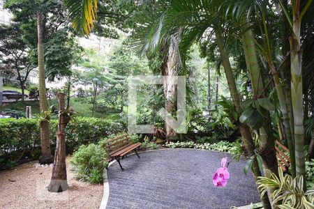 Apartamento para alugar com 67m², 2 quartos e 2 vagasÁrea comum