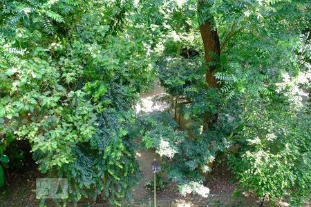 Apartamento à venda com 70m², 3 quartos e 1 vagaVista da varanda