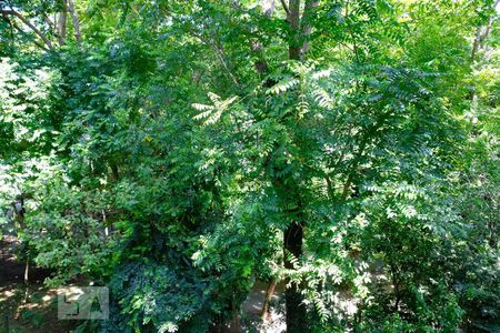 Apartamento à venda com 70m², 3 quartos e 1 vagaVista quarto 2