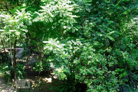 Apartamento à venda com 70m², 3 quartos e 1 vagaVista da varanda