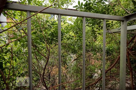 Vista Quarto 1 de apartamento para alugar com 2 quartos, 74m² em Piedade, Rio de Janeiro