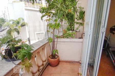 Apartamento à venda com 365m², 4 quartos e 1 vagaVaranda da Sala de inverno