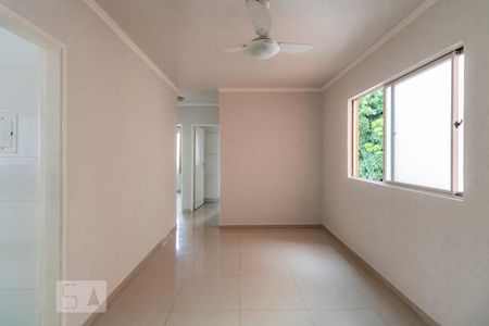 Apartamento para alugar com 74m², 3 quartos e 1 vagaSala