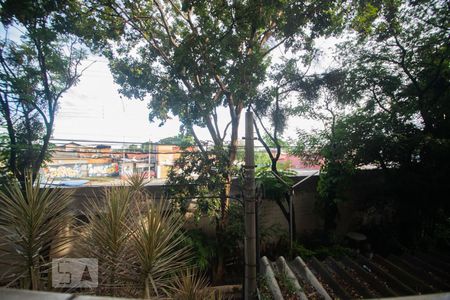 vista de apartamento para alugar com 2 quartos, 65m² em Vila Mimosa, Campinas