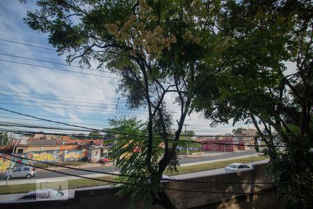vista de apartamento para alugar com 2 quartos, 65m² em Vila Mimosa, Campinas