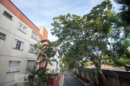 vista de apartamento para alugar com 2 quartos, 65m² em Vila Mimosa, Campinas