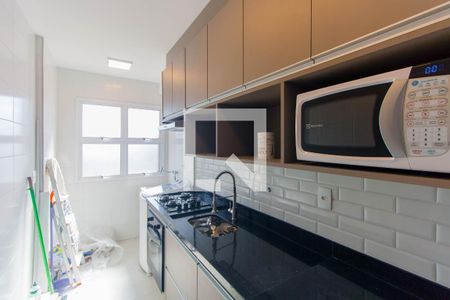 Cozinha de apartamento para alugar com 2 quartos, 48m² em Parque da Vila Prudente, São Paulo
