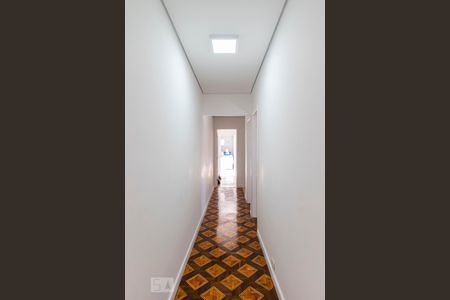 2o. Andar - Corredor de casa à venda com 3 quartos, 198m² em Vila Brasilina, São Paulo